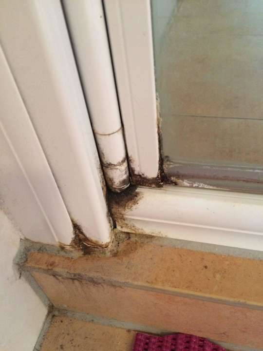 Schimmel im Bad EG - Dusche Ferienhaus Strandhaus XXL Baabe