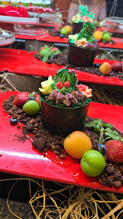 Gastro Seashell Vega