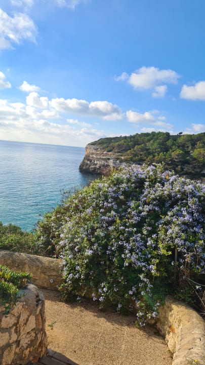 Strand blau punta reina