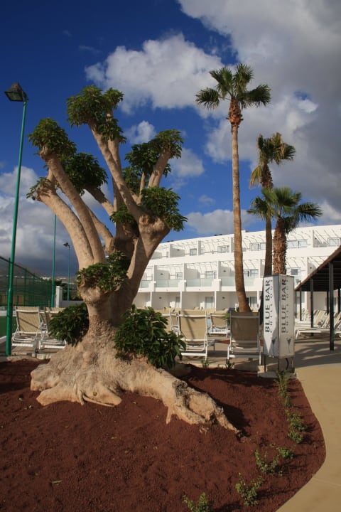 Chill Out Zone Sentido Aequora Lanzarote Suite