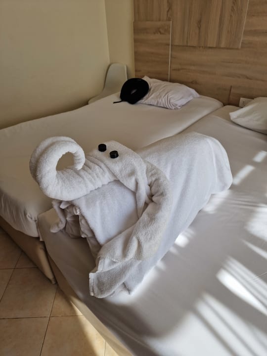 Zimmer Pyramisa Beach Resort Sahl Hasheesh
