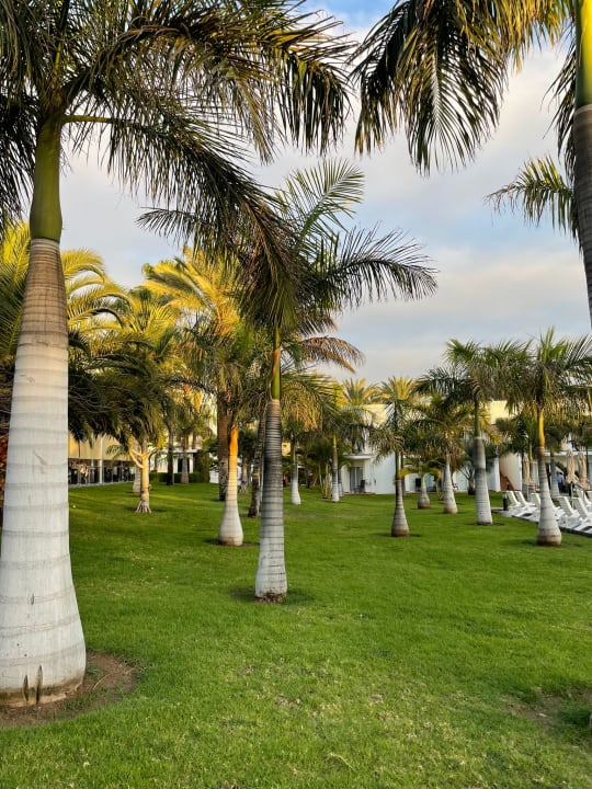 Außenansicht Hotel Riu Palace Meloneras