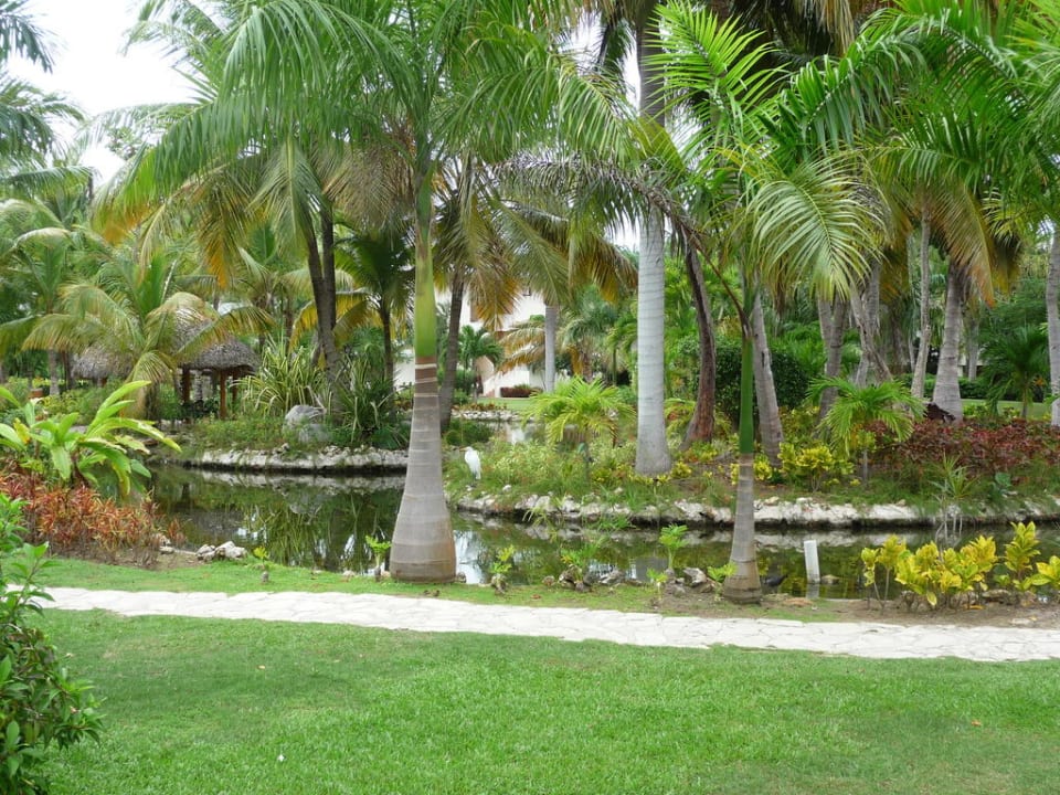 Gartenanlage Catalonia Punta Cana - All Inclusive