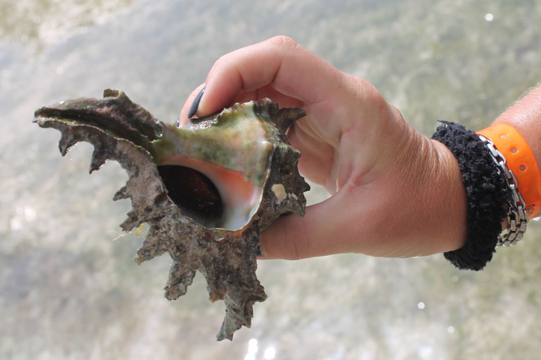 Strand Neptune Village Beach Resort & Spa