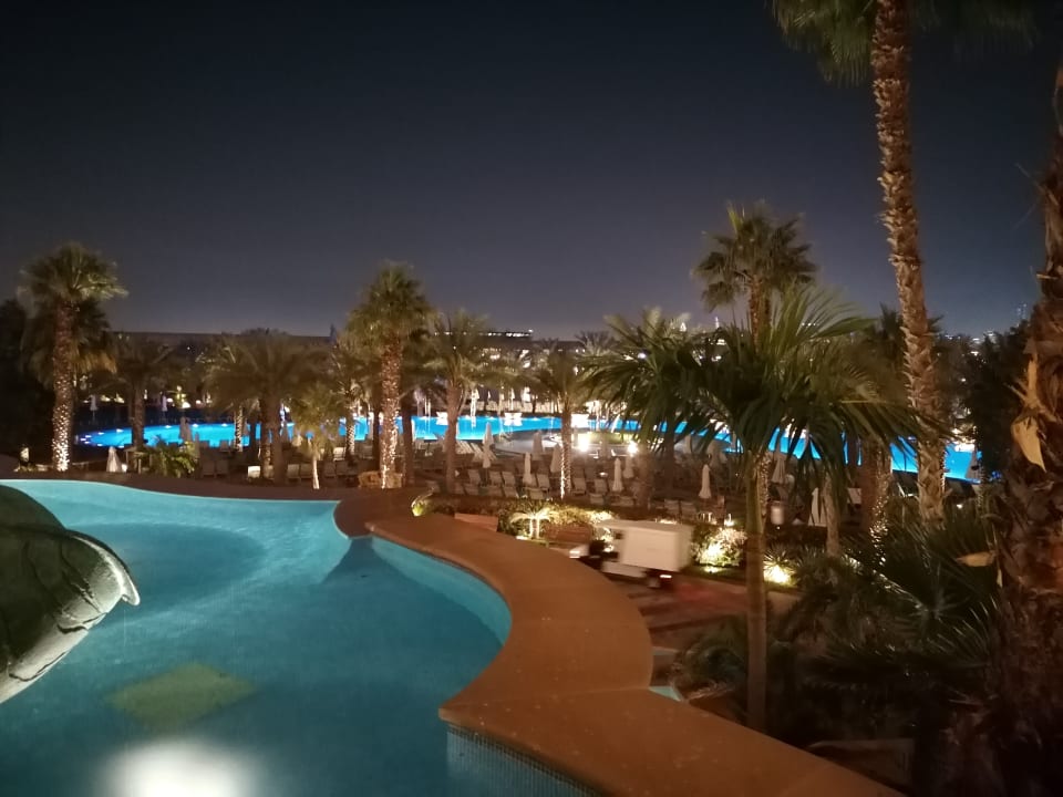 Pool Atlantis, The Palm