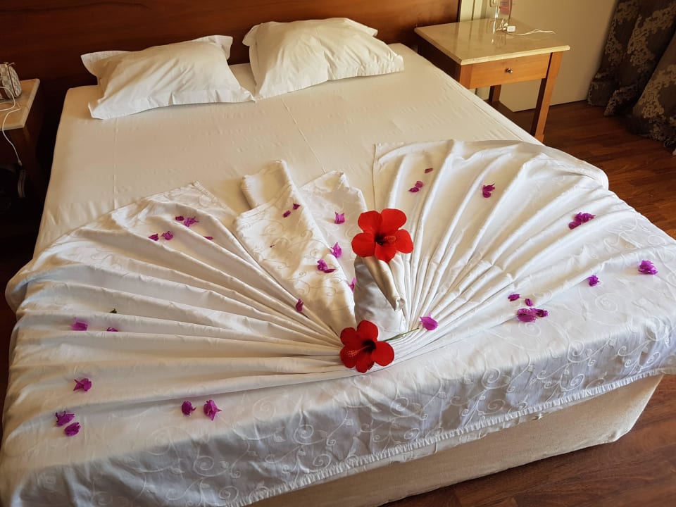 Geburtstagsdeko Alba Queen Hotel