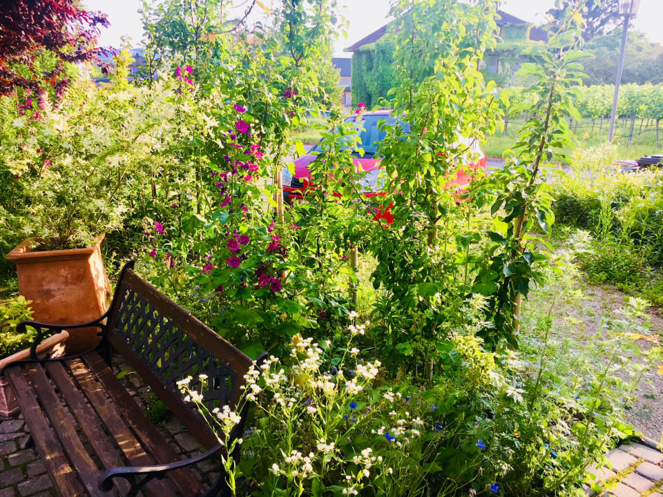 Gartenanlage Landhaus Weinblick