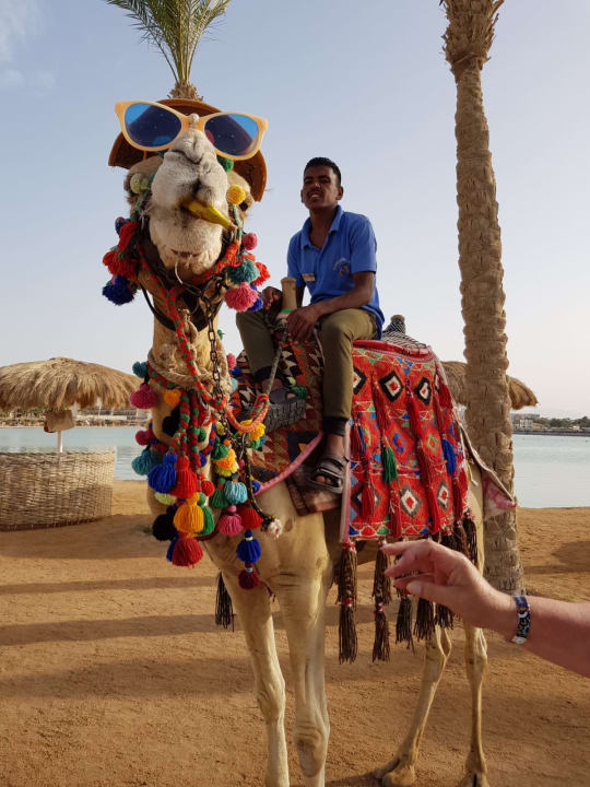 Strand Meraki Resort (Adults Only)