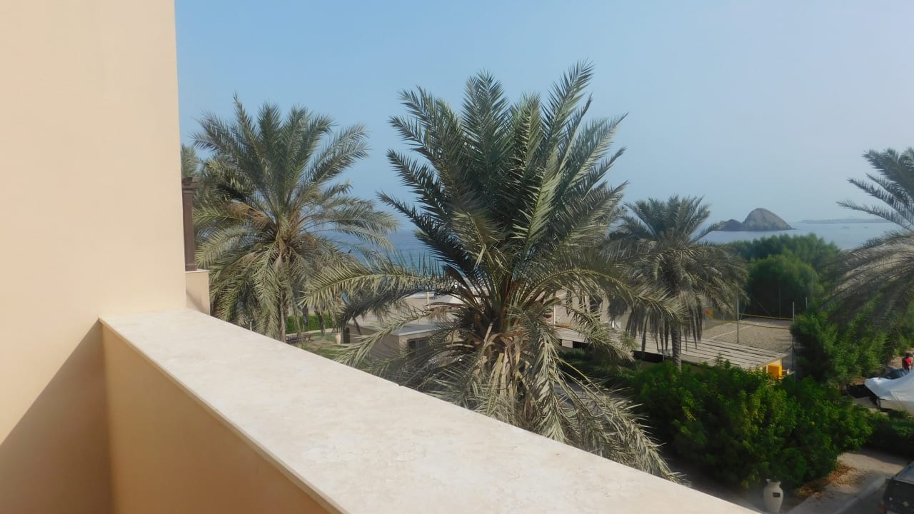 Ausblick Miramar Al Aqah Beach Resort