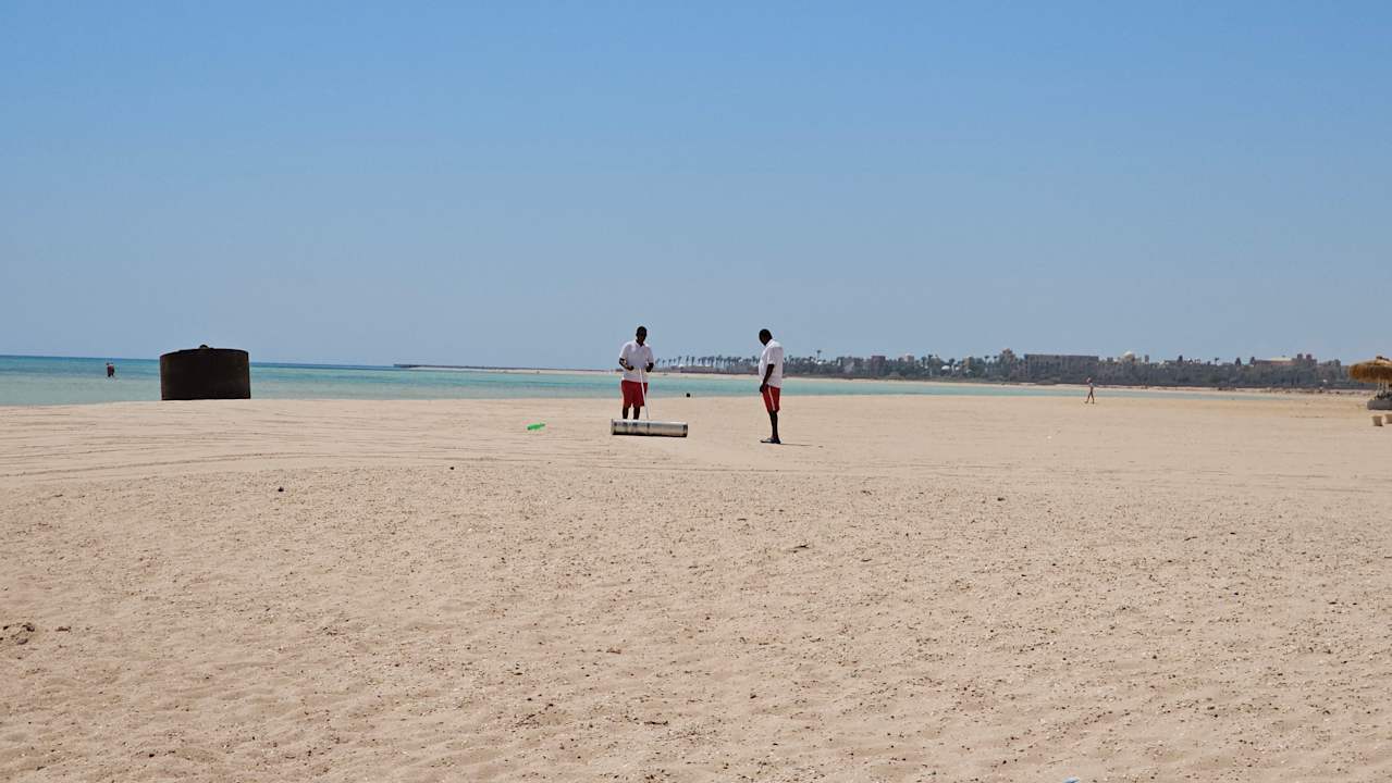 Strand JAZ Elite Asteria