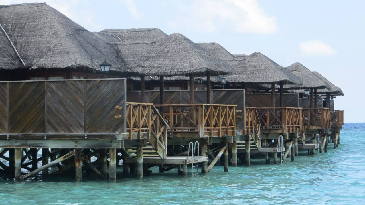 Hotel Fihalhohi Island Resort Fihalhohi Maldives