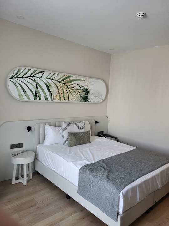 Zimmer Royal Atlantis Icon