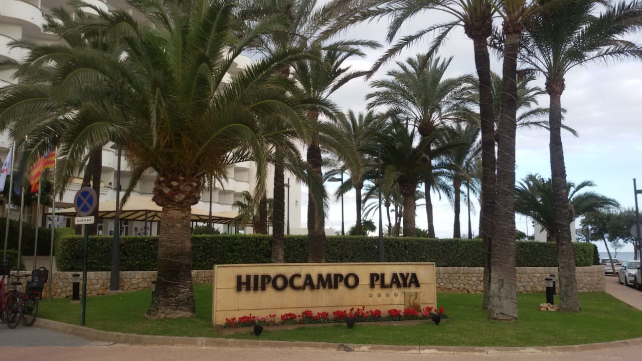 Gartenanlage Hipotels Hipocampo Playa