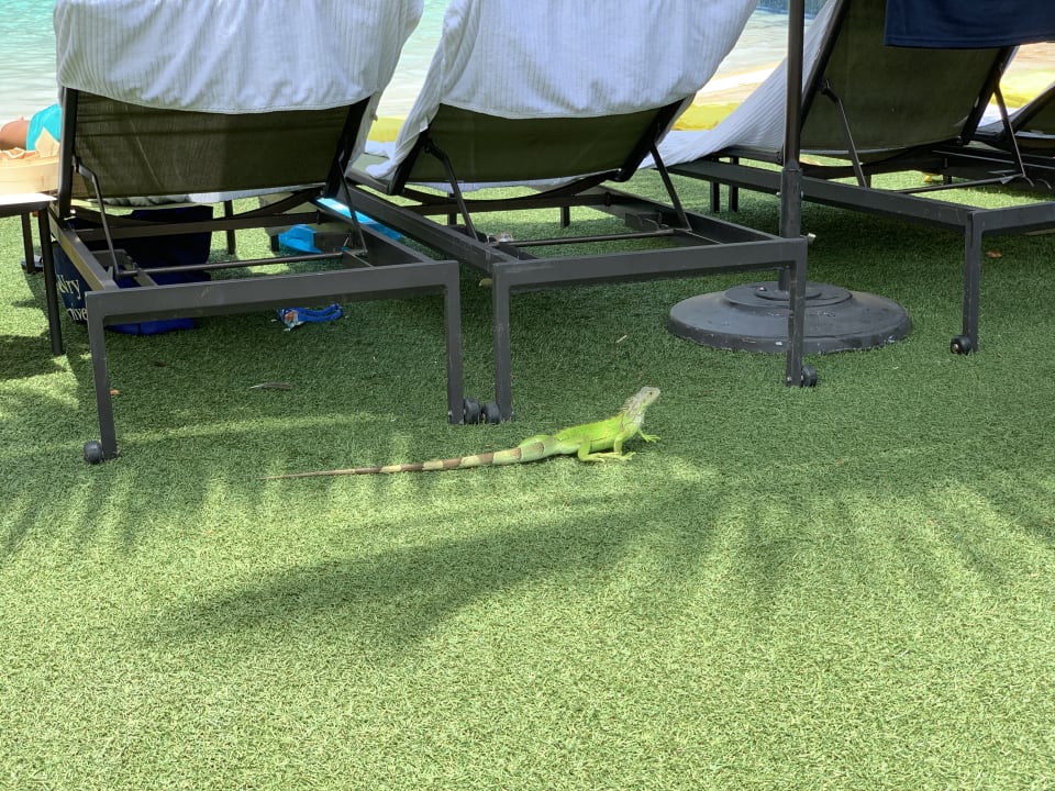 Sonstiges Residence Inn by Marriott Jersey City