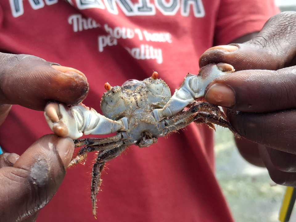 Strand Baobab Beach Resort & Spa