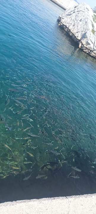 Sonstiges Hotel Pine Bay Holiday Resort