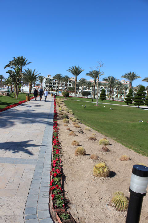 Gartenanlage Pickalbatros Dana Beach Resort - Hurghada