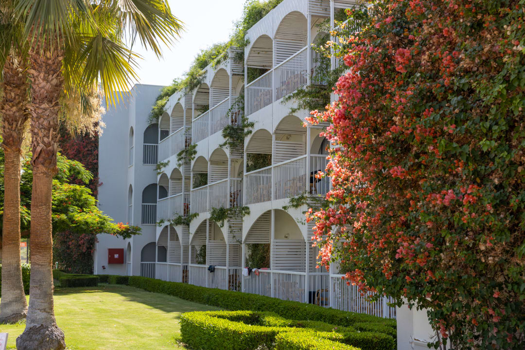 Außenansicht Desert Rose