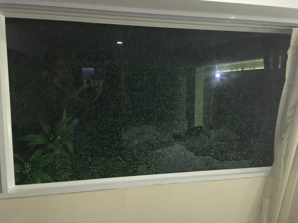 Zimmer Hotel Royal Bangkok