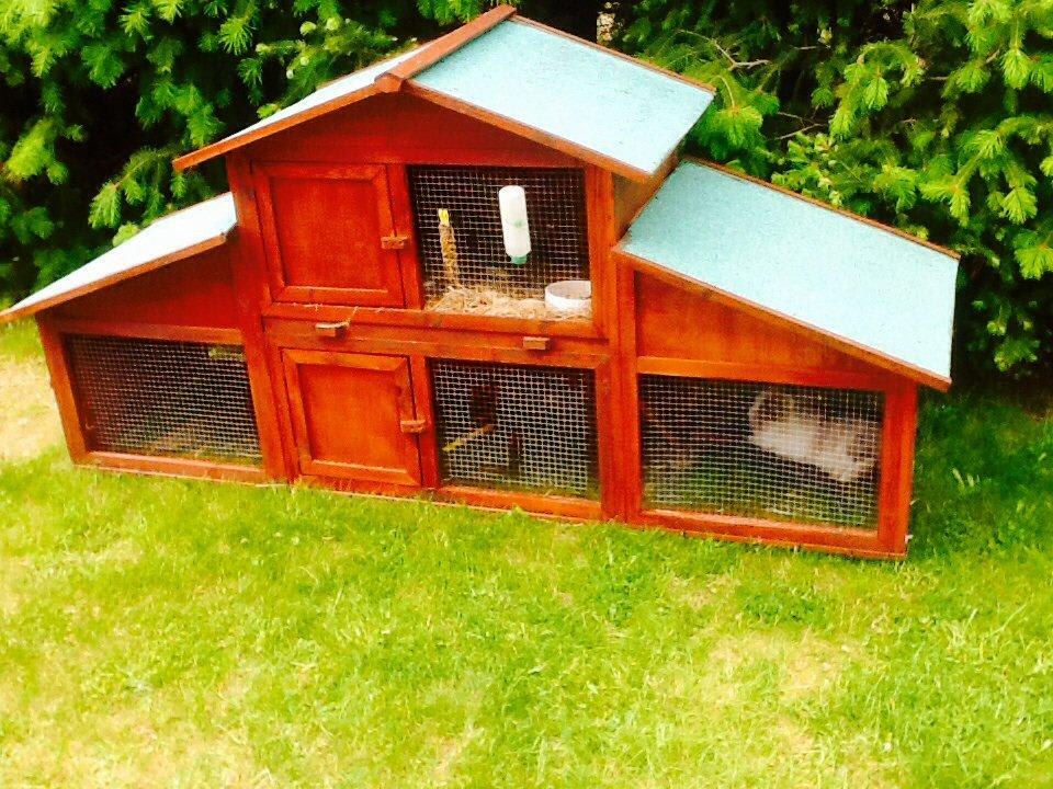 Rosis Haus  Zimmer & Fewo Pension Fischerhaus