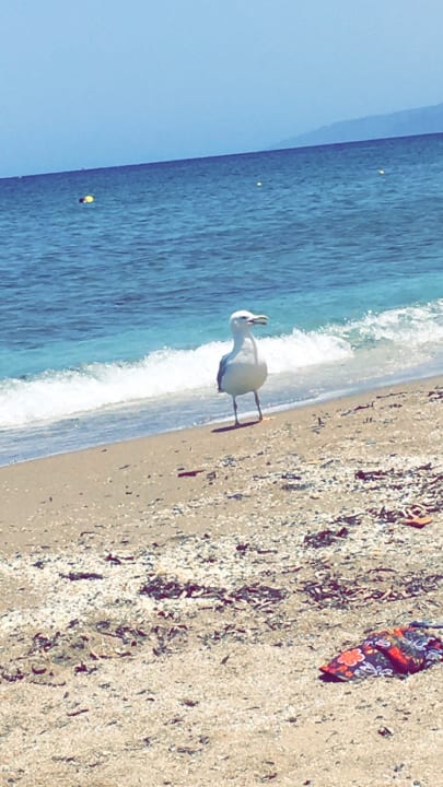 Strand Creta Maris Resort