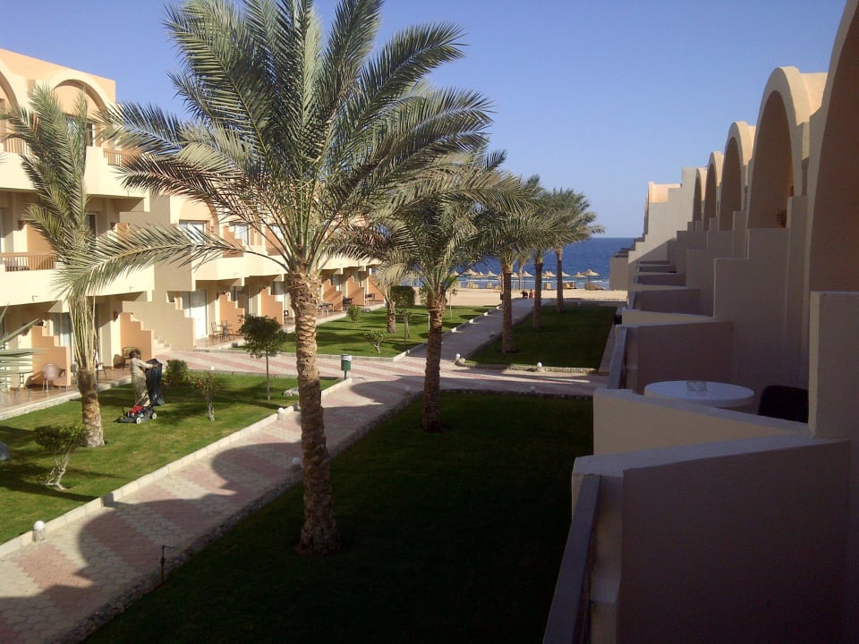 Widok z balkonu Three Corners Sea Beach Resort