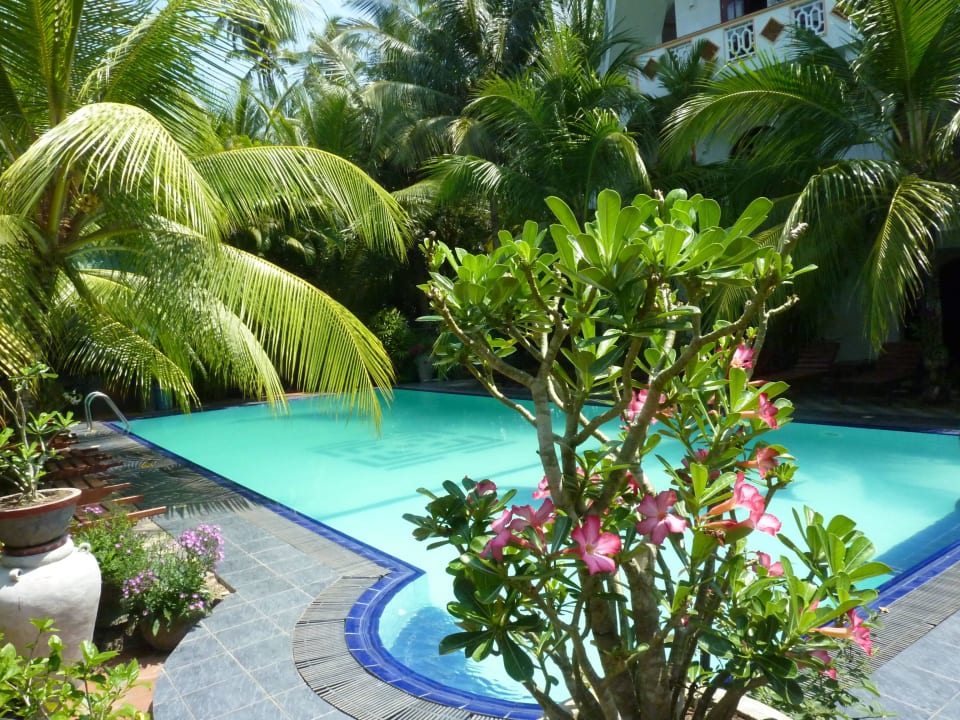 Schöner Pool Hotel Bentota Village