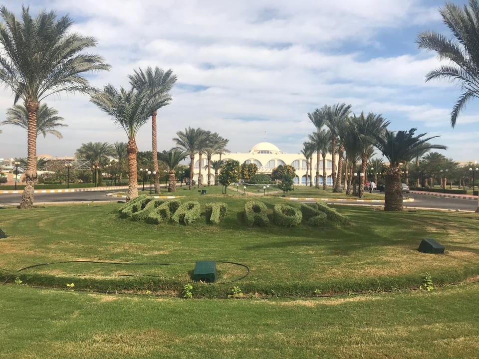 Gartenanlage Desert Rose