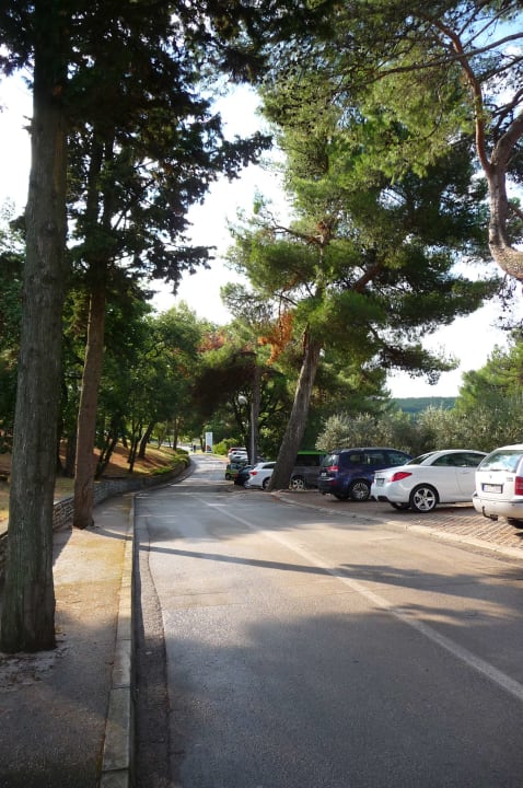 Ausblick Apartments Bellevue Plava Laguna