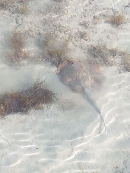 Strand Casa Mare Resort