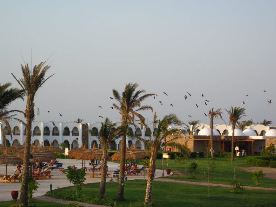 Gartenansicht Hotel Gorgonia Beach Resort