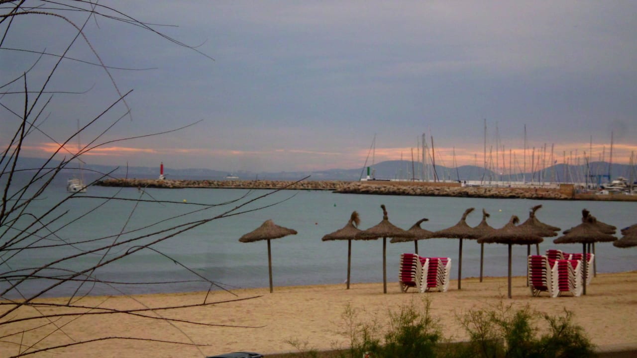 Dämmerung Hotel Edén Palma Playa - Adults Only