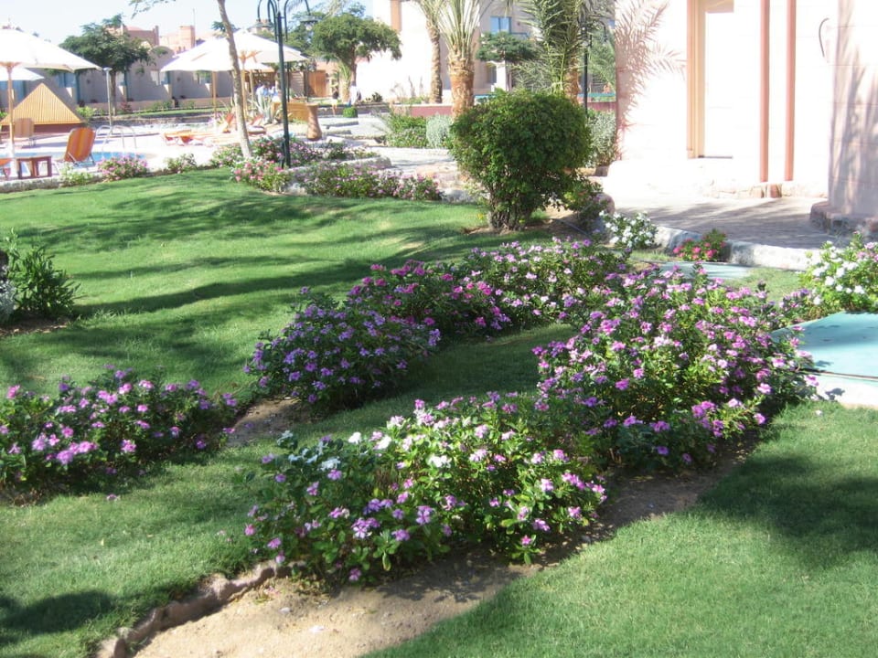 Le jardin Sentido Akassia Beach