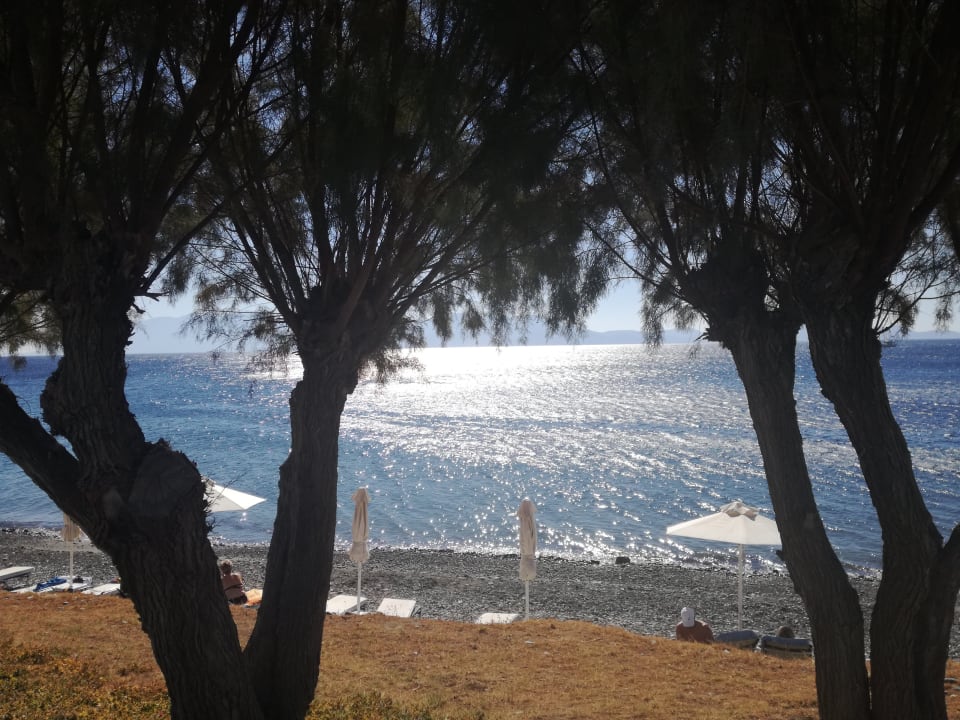 Strand Dimitra Beach Hotel & Suites