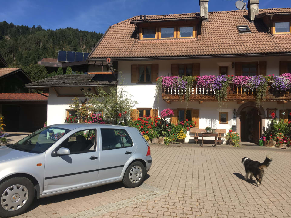 Außenansicht Bauernhof Pichlerhof