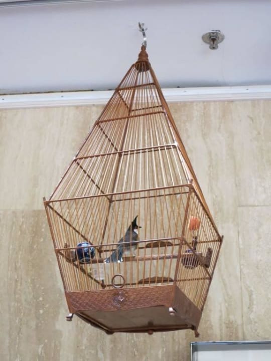 Vögel, die früh singen Parkroyal Collection Marina Bay