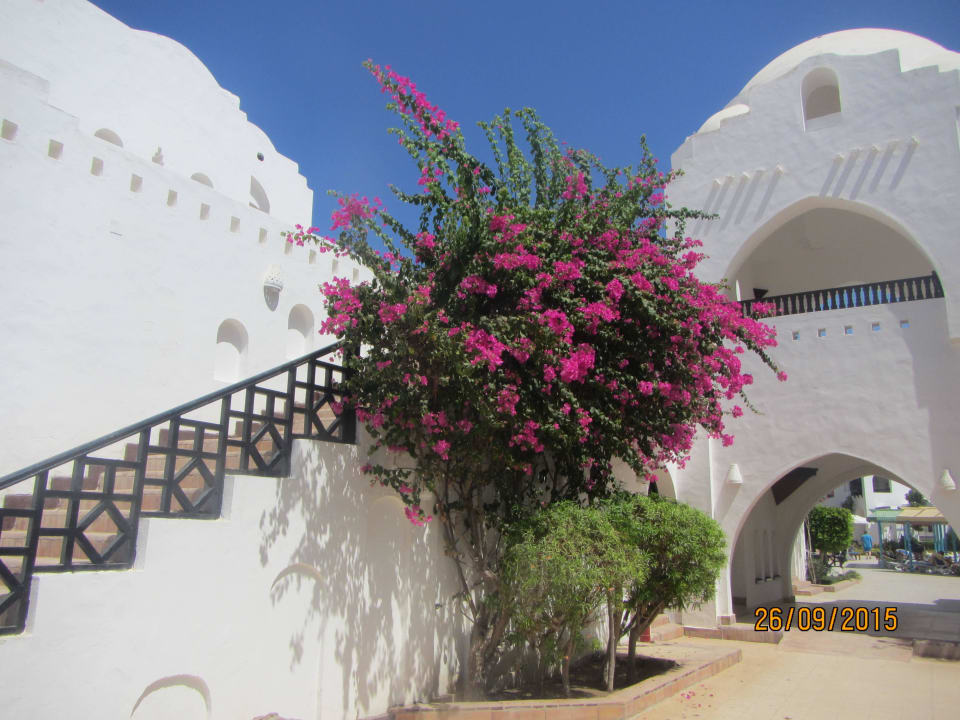 Außenansicht Arabella Azur Resort