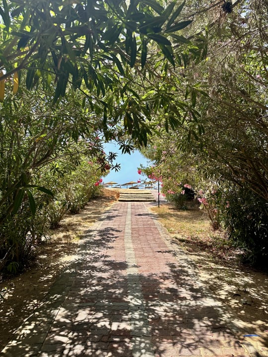 Gartenanlage Poseidon Hotel Sea Resort