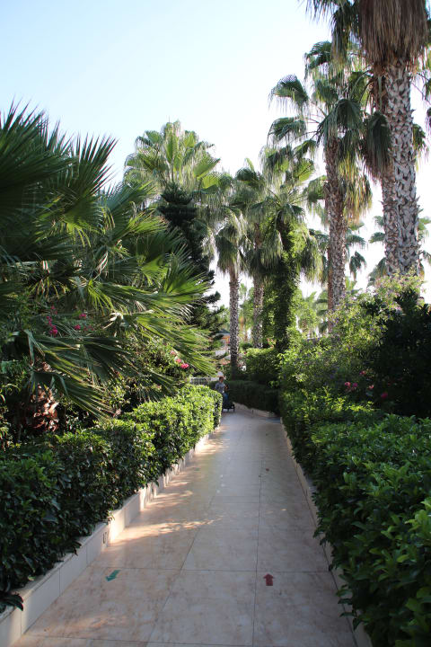Gartenanlage Hane Family Resort