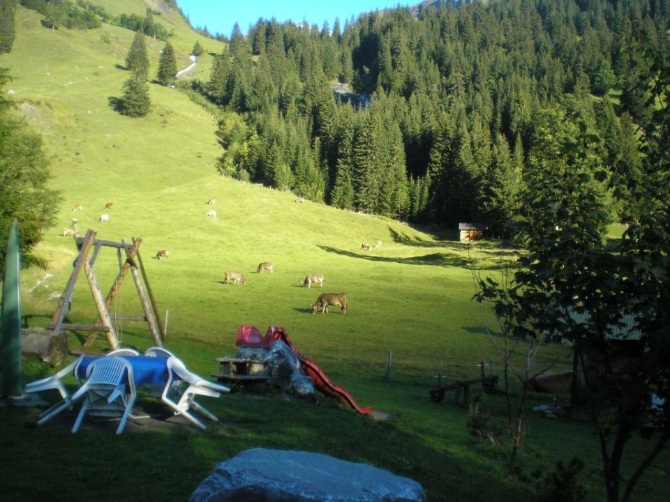 Aussicht von der Terrasse Chalet-Hotel Schwarzwaldalp