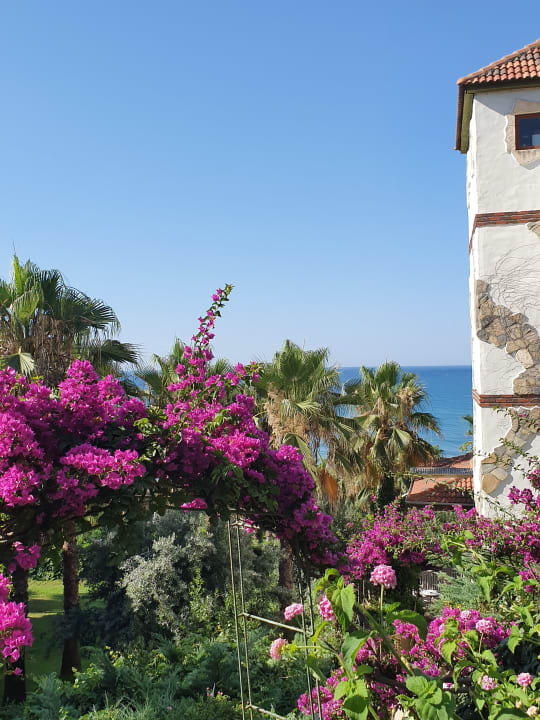 Gartenanlage Hotel Defne Dream