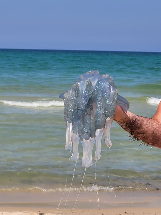 Strand El Ksar Resort & Thalasso