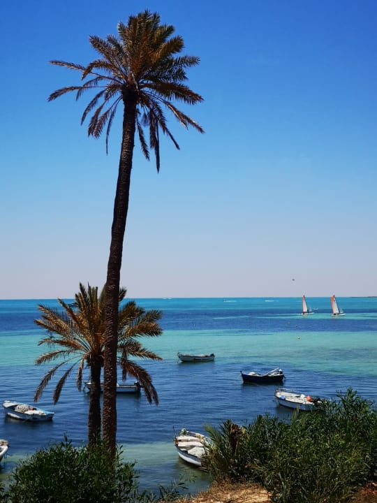 Ausblick Hotel El Mouradi Djerba Menzel