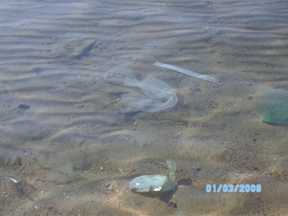 Plastikfische Ghazala Gardens