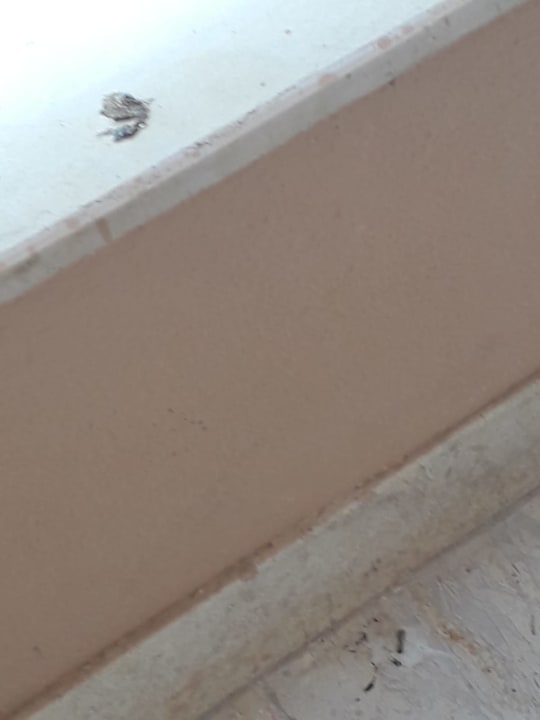 Zimmer Continental Hotel Hurghada