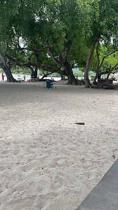 Strand Veranda Tamarin Hotel