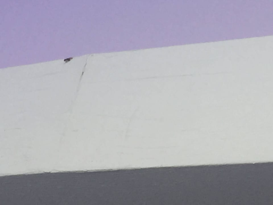 Gibsverkleidung LABRANDA Marieta - Adults only