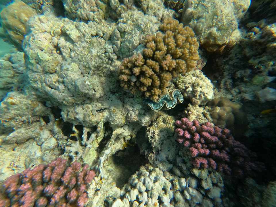 Sport & Freizeit Stella Beach Resort & Spa Makadi Bay