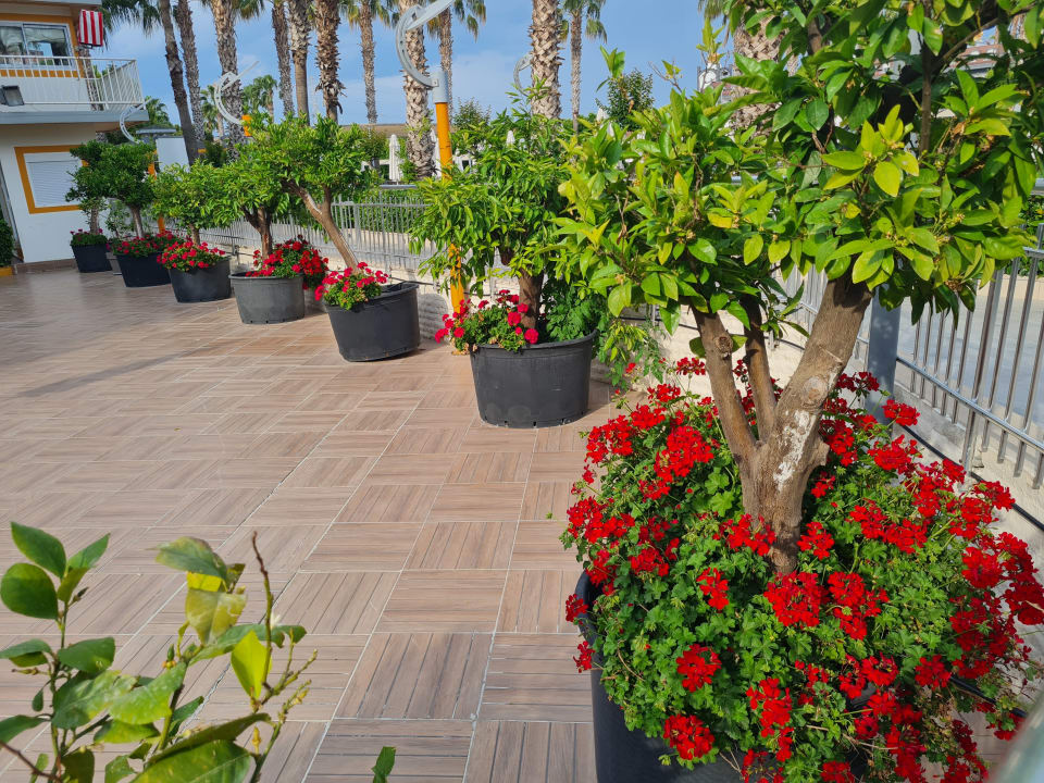 Gartenanlage Hane Family Resort