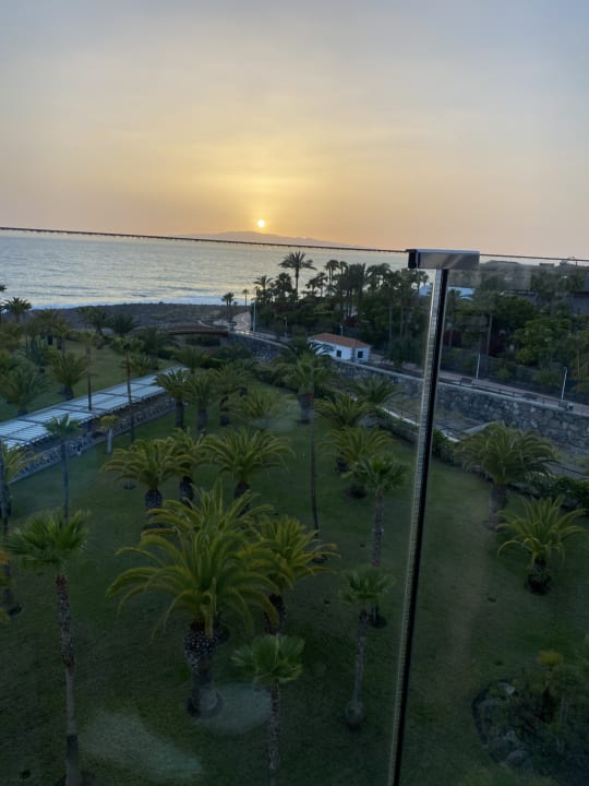 Gartenanlage Hotel Riu Palace Tenerife